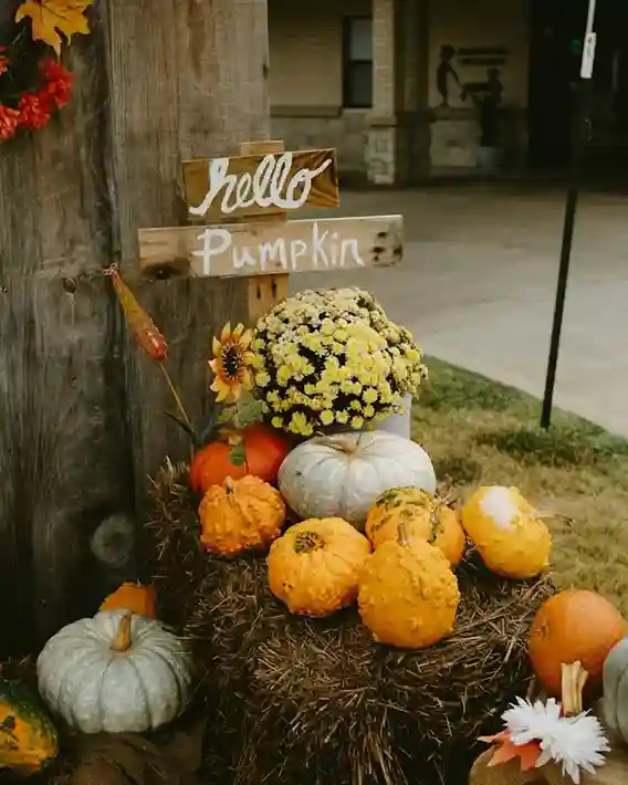 Little Pumpkin Baby Shower Decor