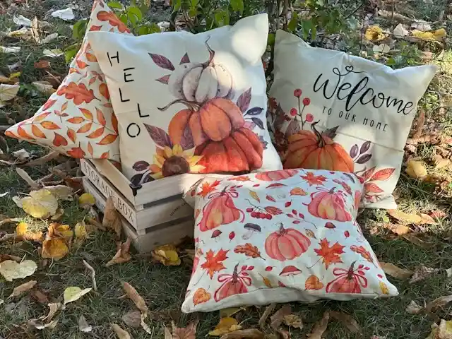 Pillow Covers