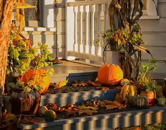 Why Small Spaces Are Actually Easier to Decorate