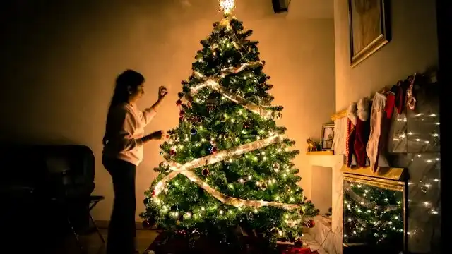 Decorate the Christmas Tree Together